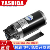 耐高温抽油泵齿轮油泵电动自吸油泵直流油泵液压泵总成小型12v