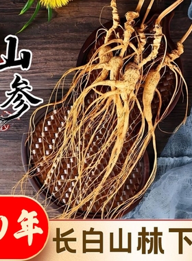 正宗30年干林下参长白山老人参整支非园参东北特产野山参籽货泡酒