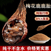 吉林梅花鹿胎粉正品 纯干完整血鹿胎打粉滋补男性女性调理备孕气血