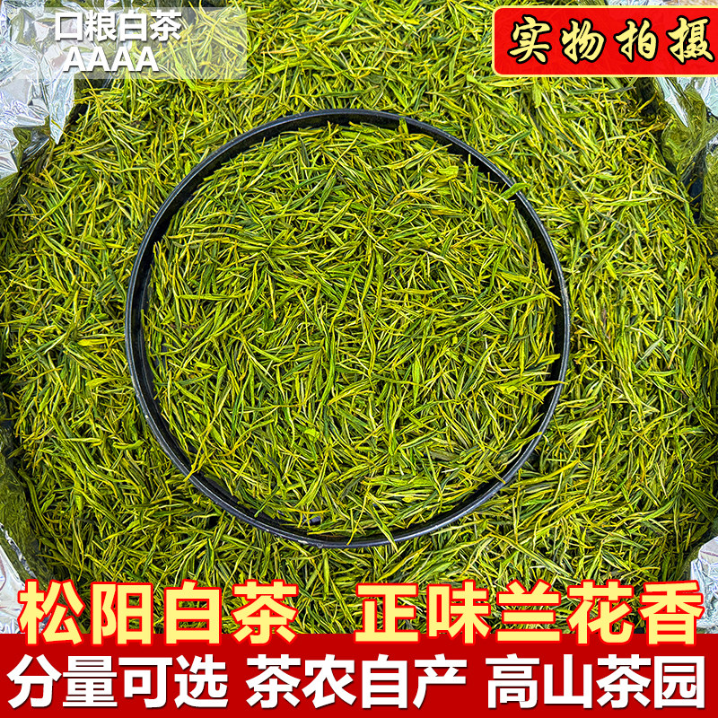 【松阳白茶】雨前2026新茶浙江高山白茶兰花香花果香当季口粮绿茶