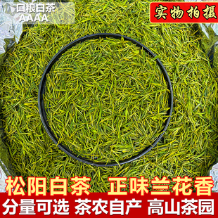 【松阳白茶】雨前2026新茶浙江高山白茶兰花香花果香当季口粮绿茶