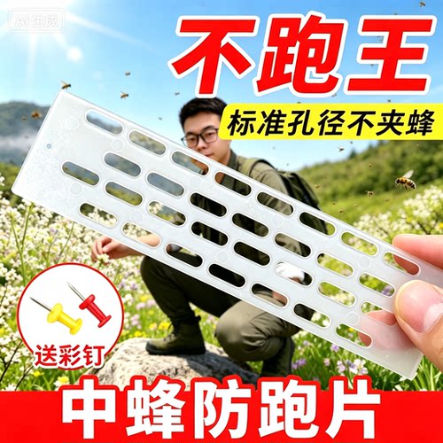 蜜蜂中蜂防逃片防跑王养蜂工具