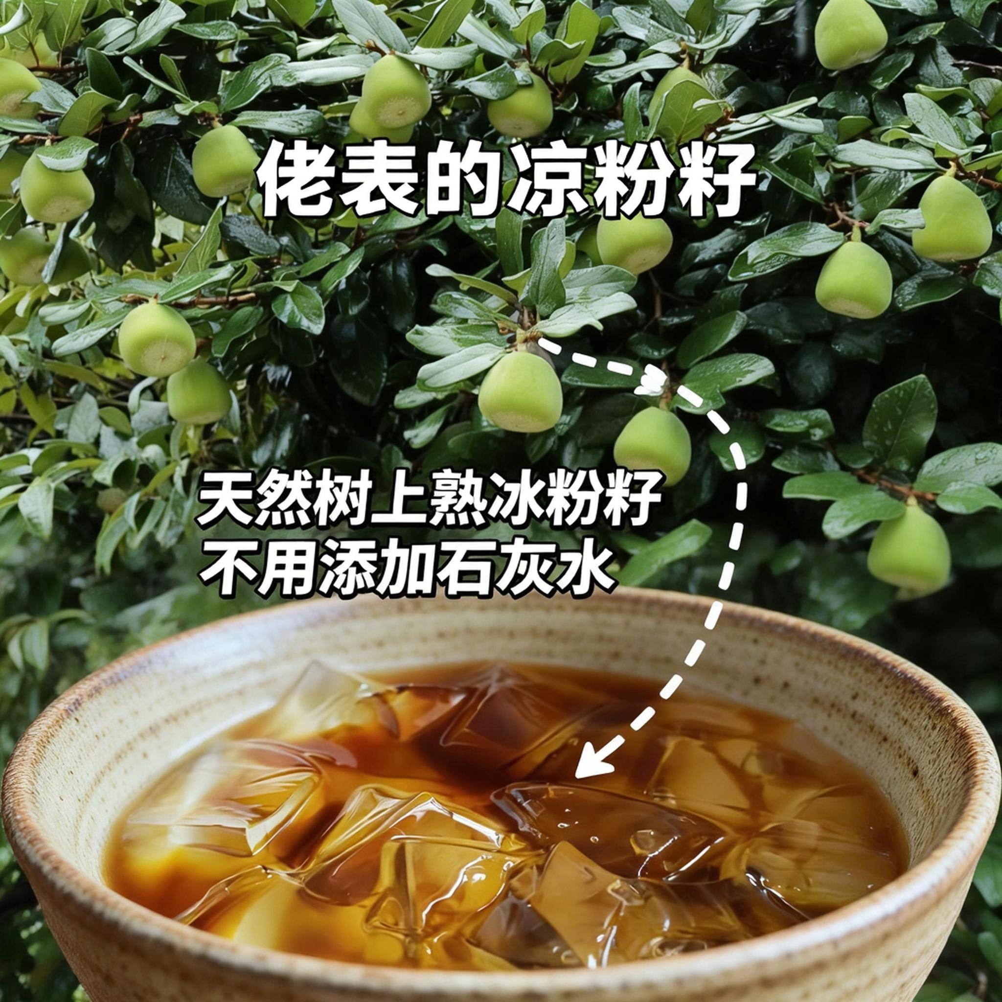 纯天然树上熟凉粉籽不用加石灰不用添加剂可制作爱玉冰凉粉木莲冻