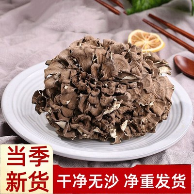 干巴菌灰树花干货500g无添加菌菇