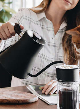 Fellow - Stagg Pour-Over Kettle 不锈钢测温细口手冲壶咖啡壶