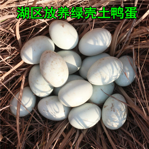 鸭蛋新鲜农家散养生鸭蛋草鸭蛋正宗微山湖放养土鸭蛋青皮30枚包邮