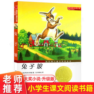 兔子坡非注音版国际大奖小说纽伯瑞儿童文学奖 苹果树上的外婆云朵工厂波普先生的企鹅村梦银行 一百条裙子一年级二年级三年级