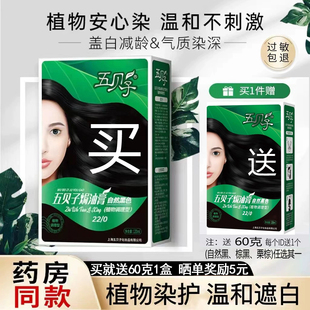 五贝子植物染发膏官方旗舰染发剂自己在家染发五倍子焗油染发