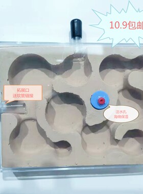 石膏巢平面巢蚂蚁工坊仿生石膏巢生态蚂蚁巢试管巢混凝土泰豪蚂蚁