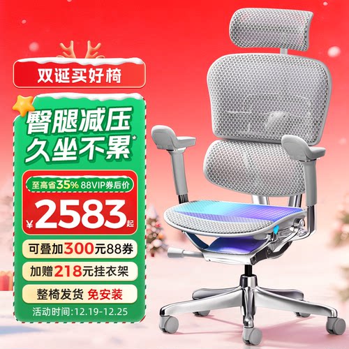 保友金豪E2丨高端护腰人体工学椅