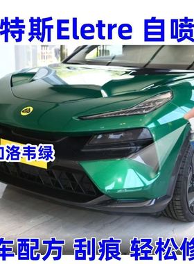 路特斯Eletre加洛韦绿色专用自喷漆修复划痕神器手喷漆防锈金属漆