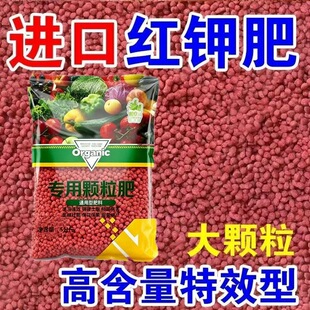 高效钾肥瓜果蔬菜树苗果树大豆玉米小麦油菜花卉盆栽红钾基肥追肥