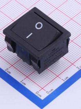 SS24-BBIWQ-R40-R 跷板开关DPST 21x24mm 插件 船型开关