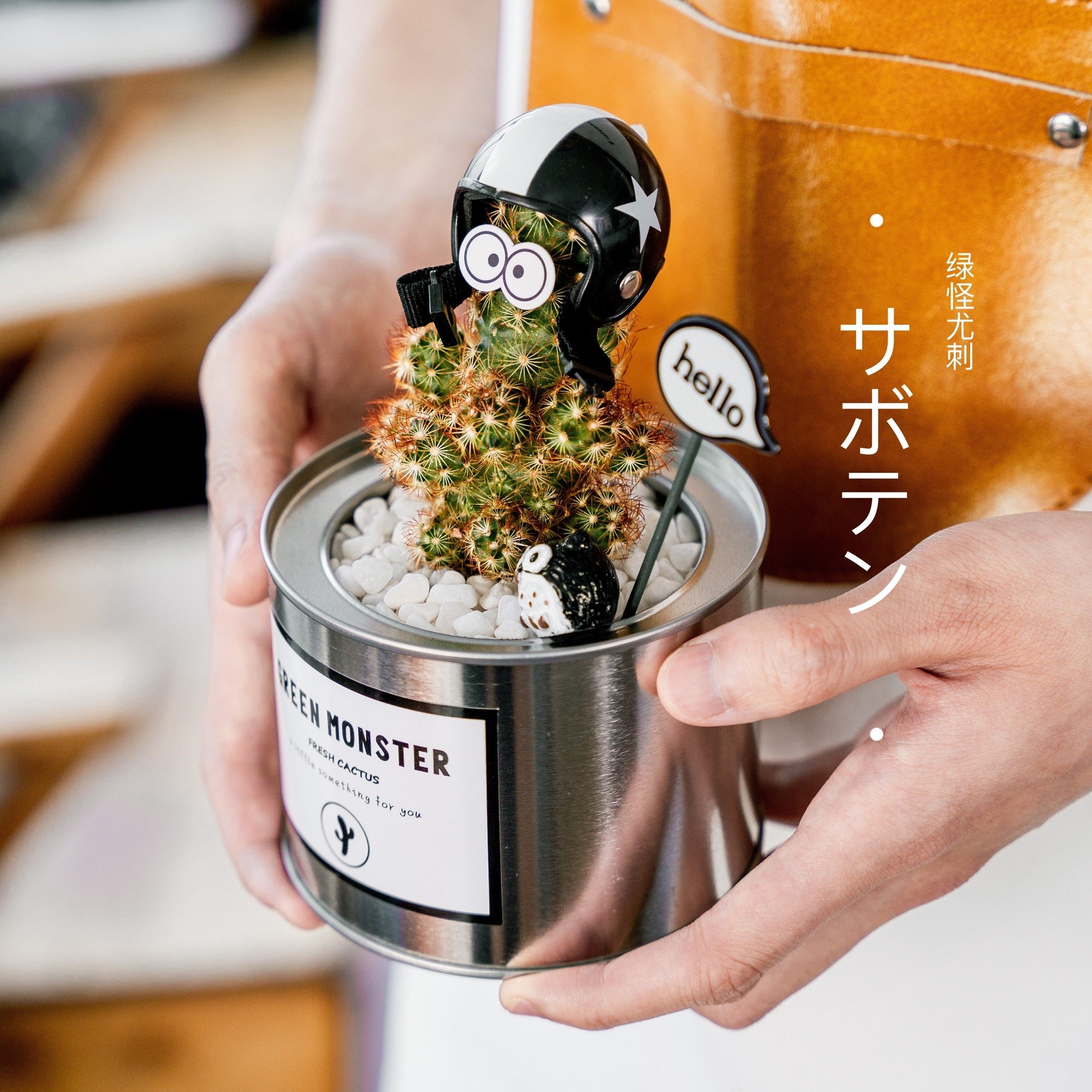 ins创意可爱超萌 节日礼品 小型办公室桌面绿植装饰 铁罐仙人掌