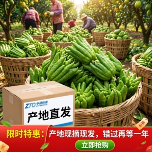 云南高山佛手柑鲜果居家办公室雅致摆件寓意福寿吉祥造型奇特供佛