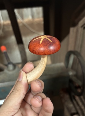 实木仿真蘑菇冰箱贴实木创意可爱装饰品手工磁吸黑胡桃木蘑菇礼物