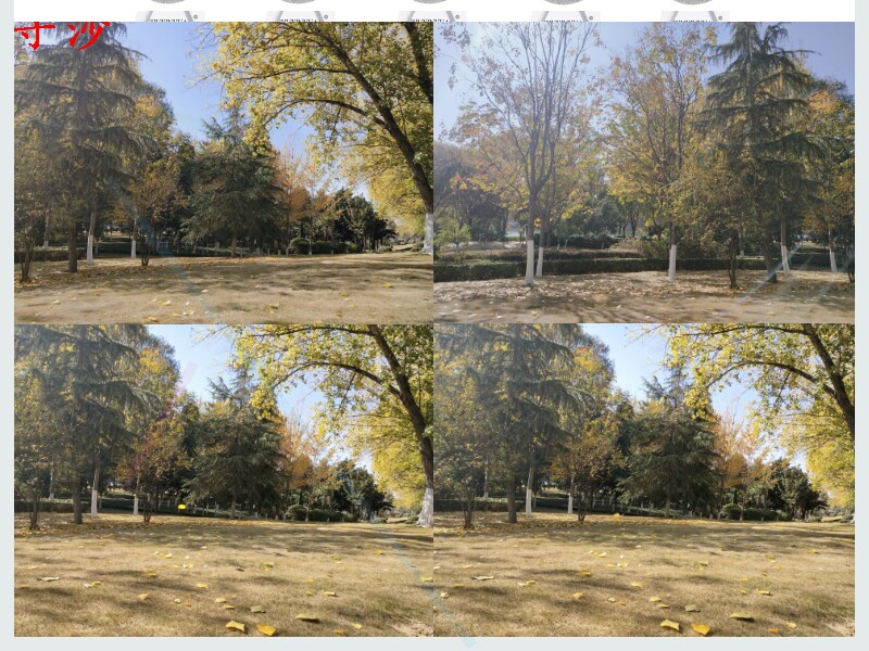 袜子船头袜子女半包袜细带薄款短袜丝袜截带包单打底袜美腿袜