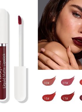 Matte Lipstick Long-Lasting Liquid Lipstick High Pigment Wat