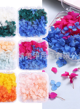 Anna Hydrangea Nail Art Dried Flower Jewelry Purple Sunflowe