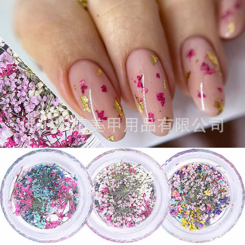 Japanese Dried Flower Broken Smint Mixed Color Lace Dried Fl