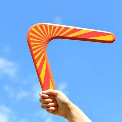 V Shaped Boomerang Flying Disc Throw Catch Wooden Return Dar