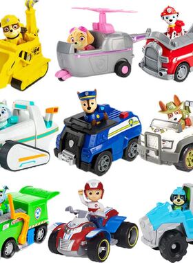 10kinds Genuine Paw Patrol Everest Ryder Rex Skye Chase Rock