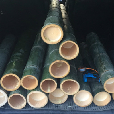 广西楠竹毛竹厂家批发