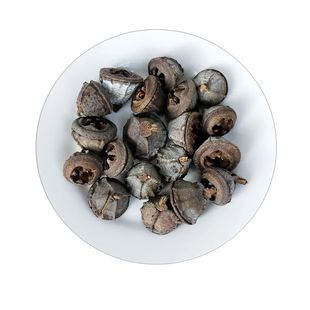 Fruits for party Dried wedding Flowers filler Natural vase