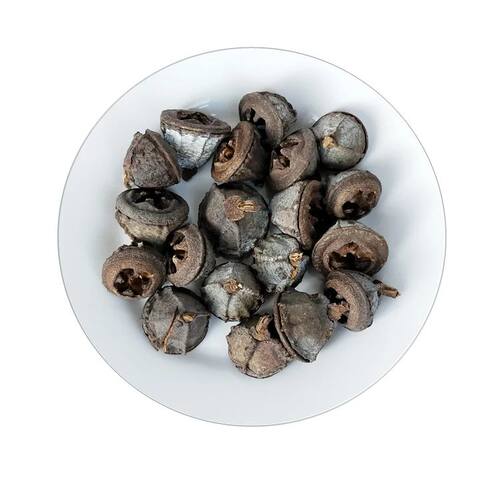 Natural Dried Flowers Fruits for vase filler wedding party d