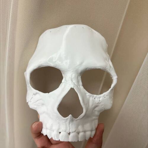 DIY White Skull Mask Paintable Sewable Halloween Masquerade