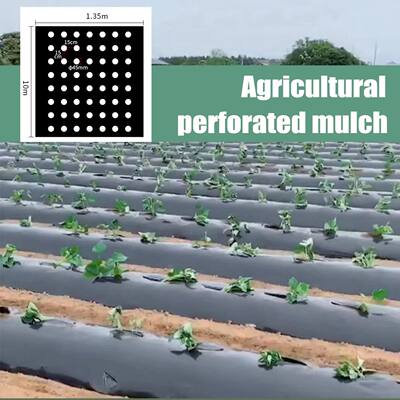 Agriculture Mulch Pre-punched Hole Plastic Film Plants Film