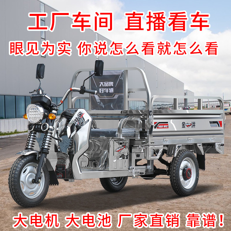 大电池电动车 价格 怎么样 图片