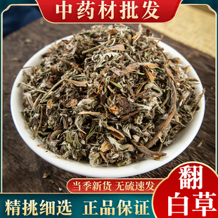 翻白草中药材500g翻白草野生粗根正品新货另售绞股蓝苦丁茶地骨皮