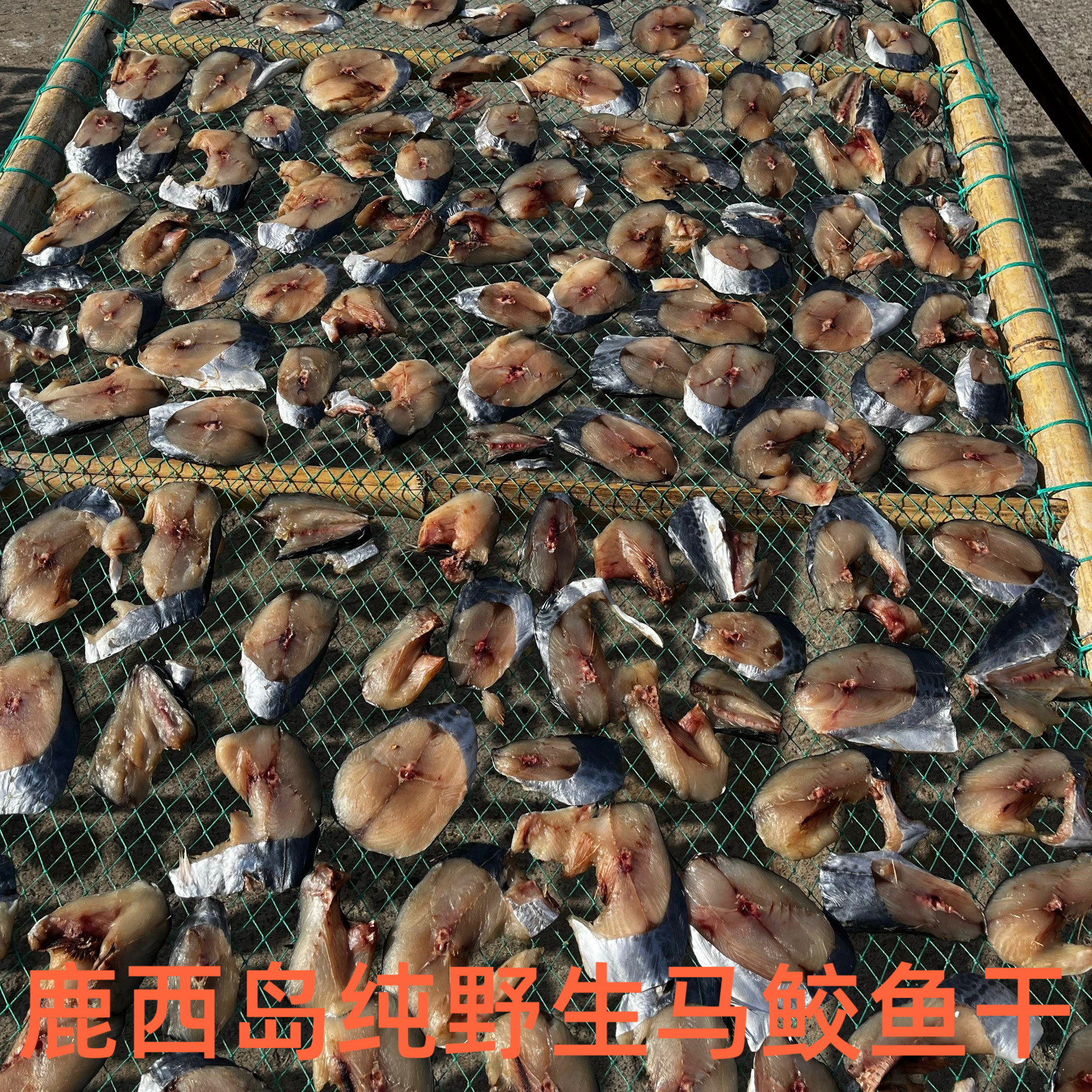 鹿西岛温州特产纯野生马胶鱼干新鲜马鲛鱼切片海风吹干海鲜干货