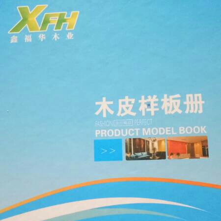 2021新版整屋家装高端木皮 木里木外同款 名贵木皮  染色木皮样册