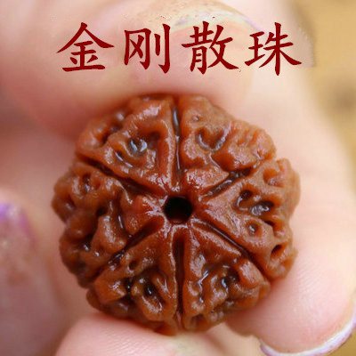 五六瓣原籽散珠满肉大金刚菩提子