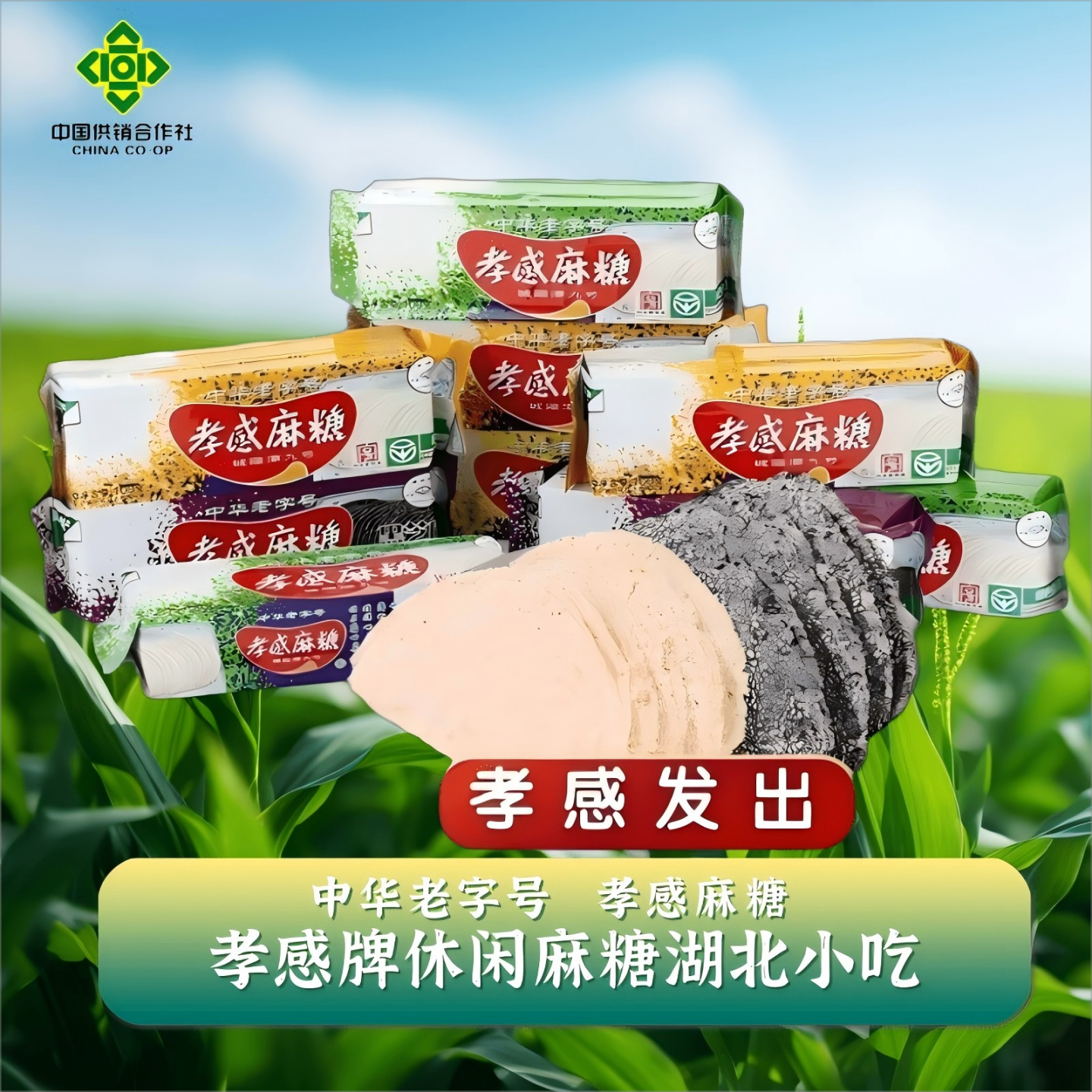 孝感牌孝感休闲麻糖100g