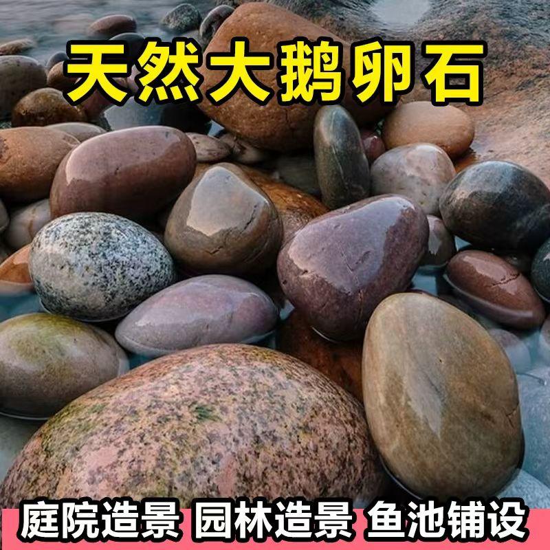 超大鹅卵石造景天然大号庭院鱼池草坪池塘花园造景装饰户外石