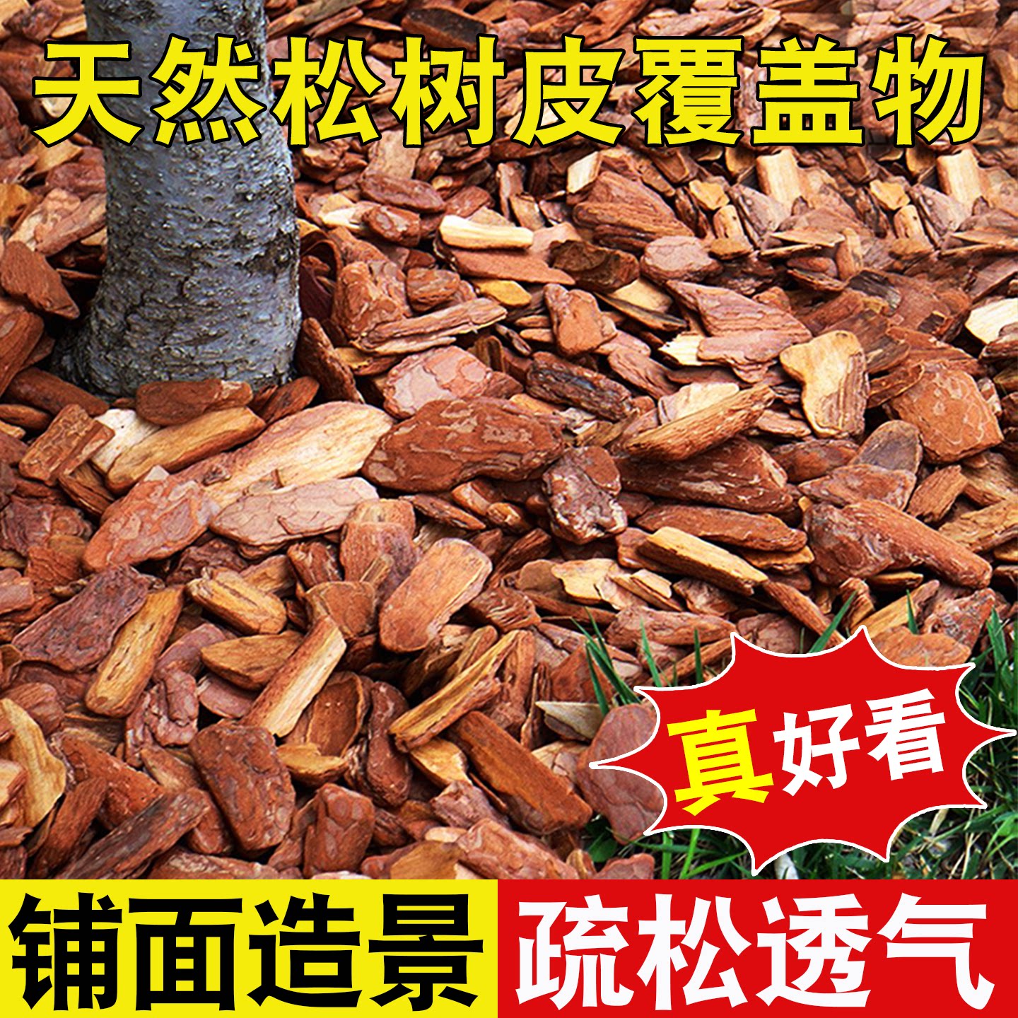 有机覆盖物松鳞树皮保湿透气