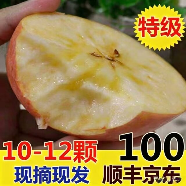 山西临猗红富士冰糖心脆甜苹果