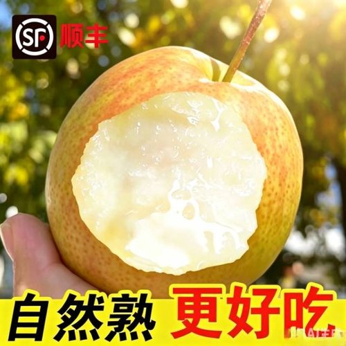 山西丹霞红青皮雪梨脆甜多汁