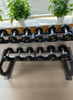 舒华哑铃架家用6对10对双层健身房PU包胶商用圆头G6884套装DR08