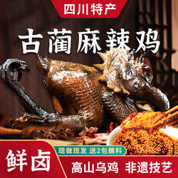 年货节正宗泸州古蔺麻辣鸡杨迪手撕鸡乌鸡四川特产非遗美食熊整只