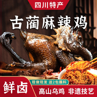 年货节正宗泸州古蔺麻辣鸡杨迪手撕鸡乌鸡四川特产非遗美食熊整只
