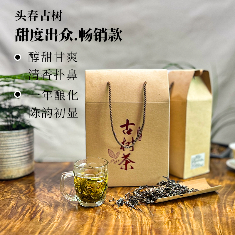 老古树茶头春冰岛大叶种醇甜回甘