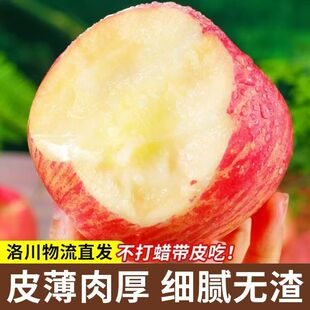【超级甜】陕西洛川红富士苹果当季新鲜水果脆甜冰糖心整箱包邮