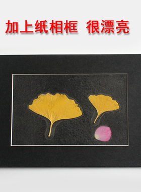 树叶标本相框纸相框材料包组合DIY卡纸塑封膜手工制作儿童创意画