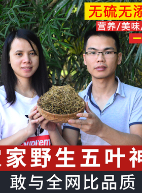 野生五叶神煲汤草500g干货泡茶炖汤广东传统煲汤料客家土特产包邮