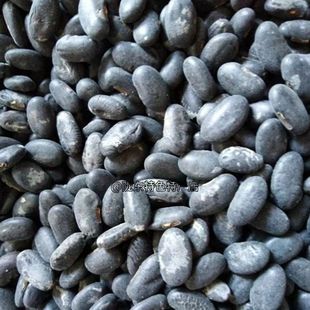 甘肃肾形小黑豆农家自种植黄心黑豆腰形老品种豆芽浆杂粮非转基因