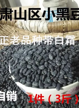 甘肃肾形小黑豆农家自产药用白霜黑小豆2025新杂粮黄芯心老品种